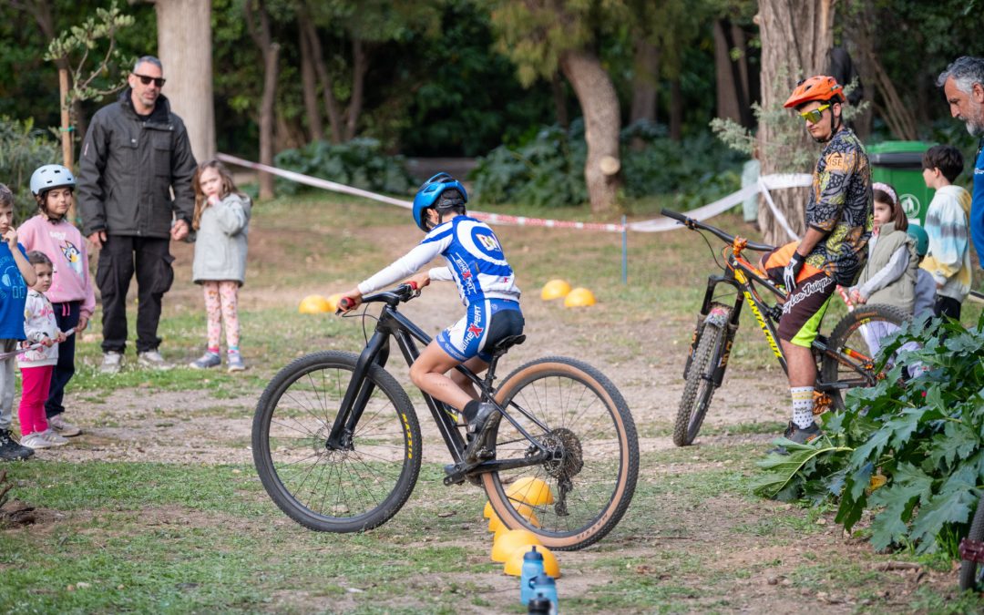 Πίστα Δεξιοτεχνίας